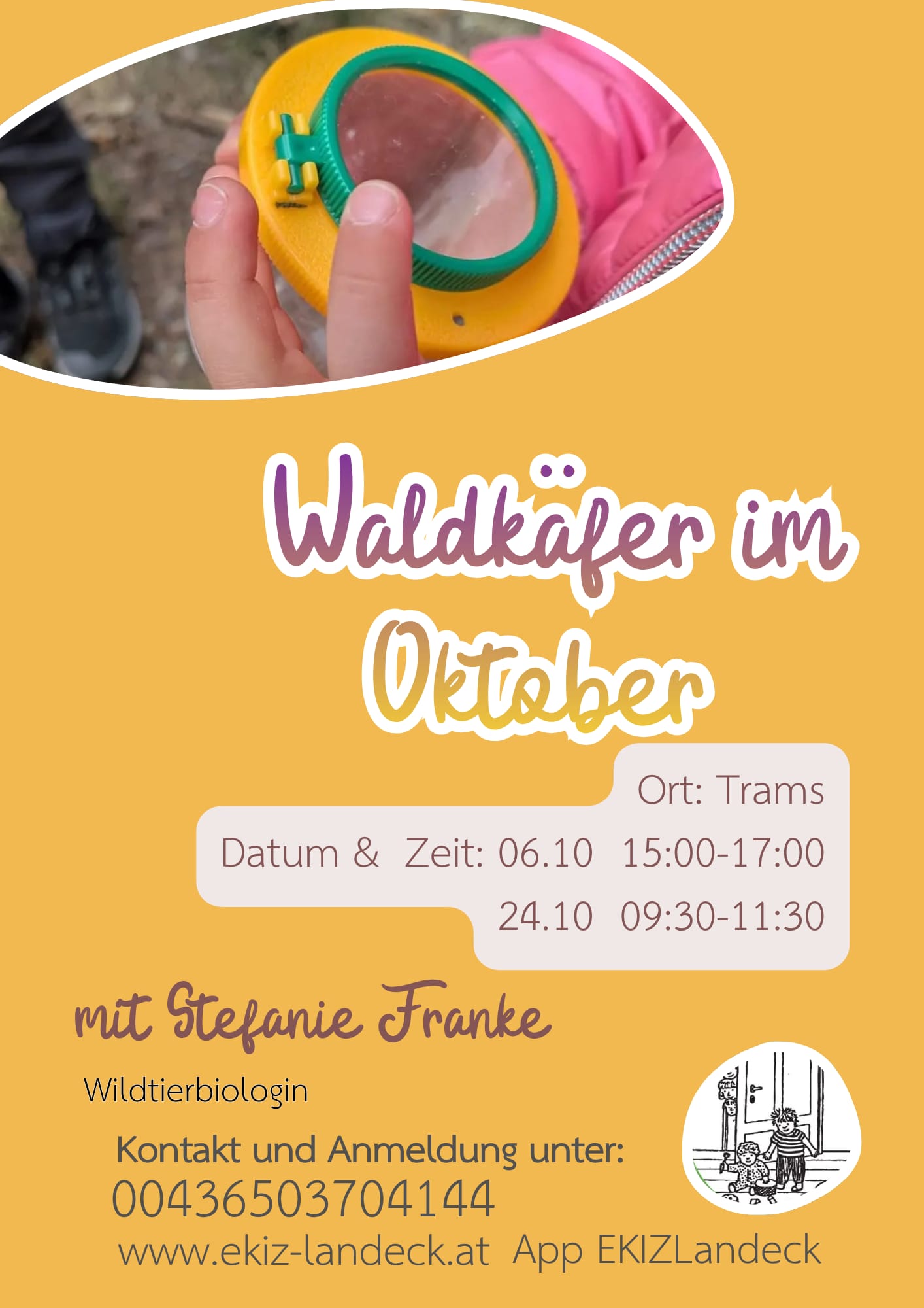 Waldkäfer auf der Trams 24.10.2026