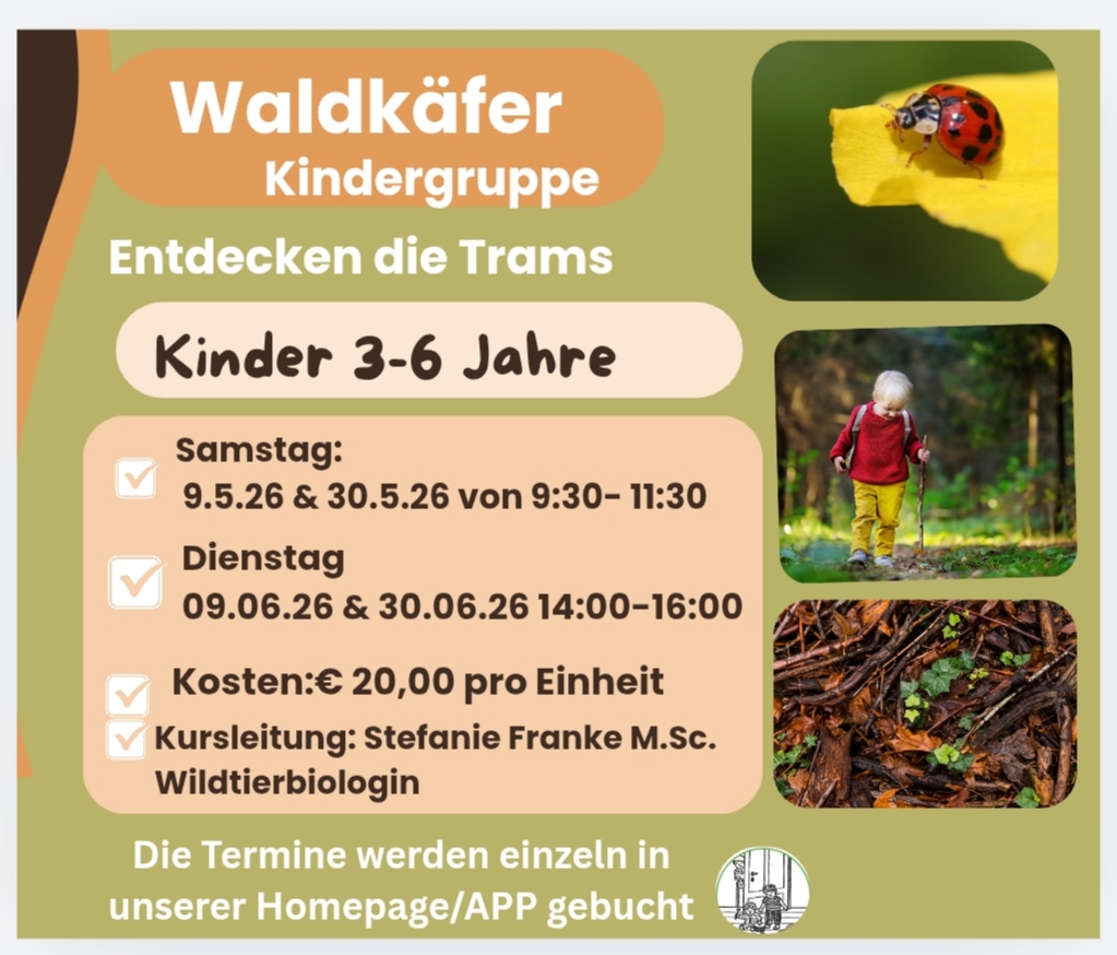 Waldkäfer 3-6 Jahren 30.5.26